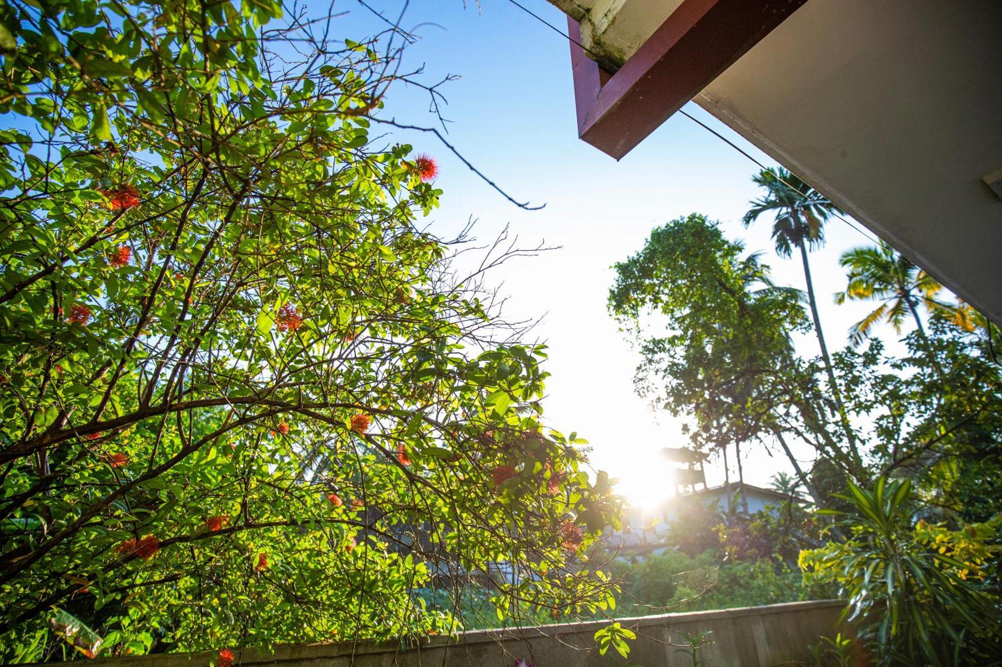 Hotel Turtle Lamp Unawatuna Exterior foto